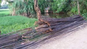 FB_IMG_1471622786458