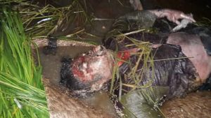 fb_img_1476627582337