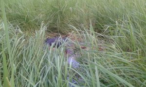 received_345278142483323