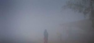 fb_img_1478874184448