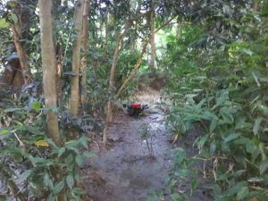 fb_img_1480085241261