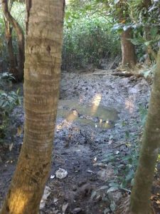 fb_img_1480085249754