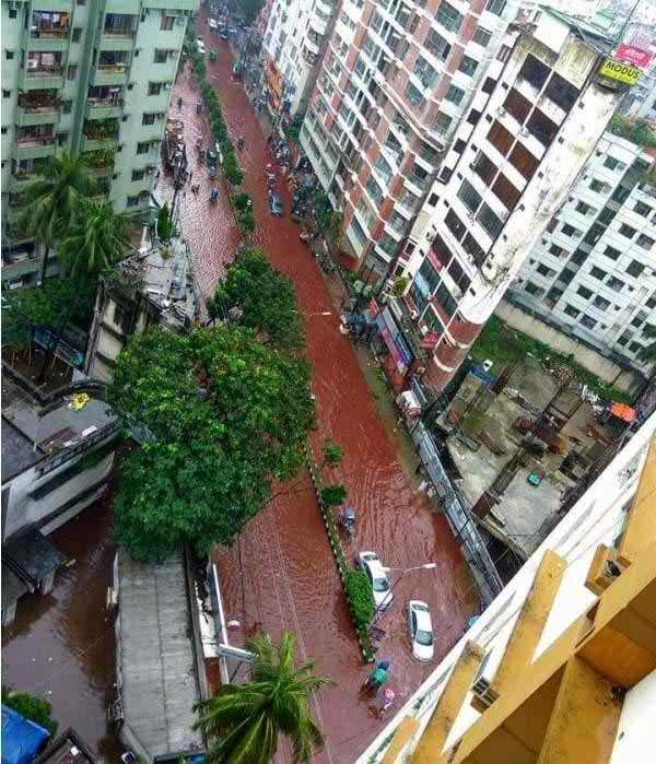 ঢাকায় কোরবানী পশুর রক্তের নদী! 