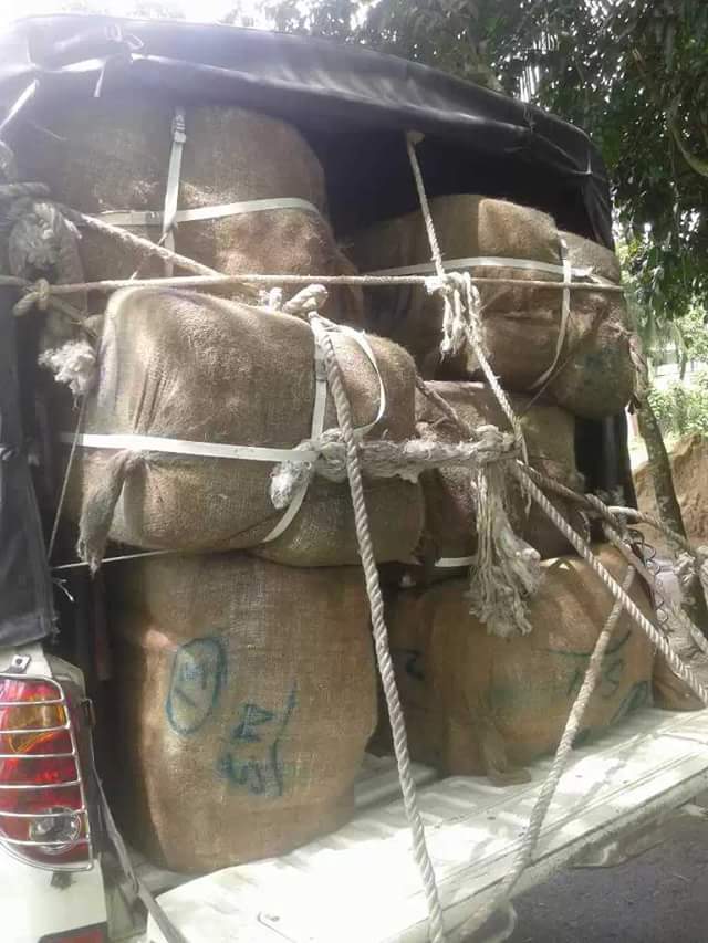 সোনাগাজীর মজলিশপুর থেকে বিপুল পরিমান আমদানি নিষিদ্ধ ভারতীয় শাড়ি উদ্ধার