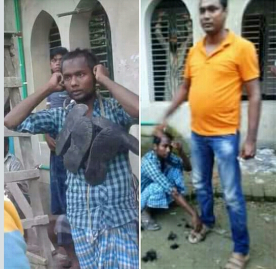 সোনাগাজীতে মাথা ন্যাড়া ও জুতার মালা পরিয়ে যুবক কে শাস্তি দিলো চেয়ারম্যান ভুট্টু