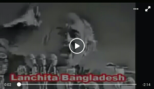 বাঙ্গালী শুয়োর কা বাচ্চা?