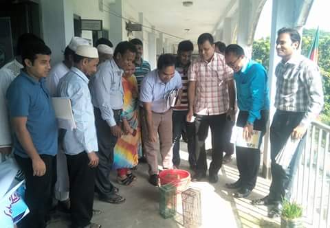 ফুলগাজীতে জাতীয় ইঁদুর নিধন অভিযান উদ্বোধন