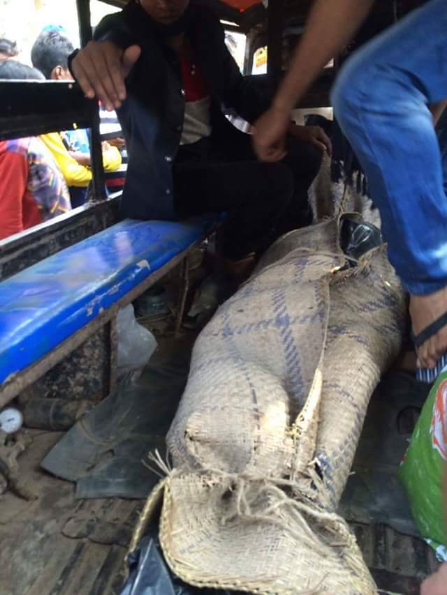 দাগনভুঞায় দুর্ধর্ষ ডাকাতি :গৃহবধুকে জবাই করে হত্যা