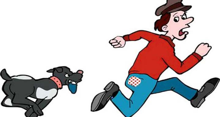কুকুর ধাওয়া করলে যা করবেন