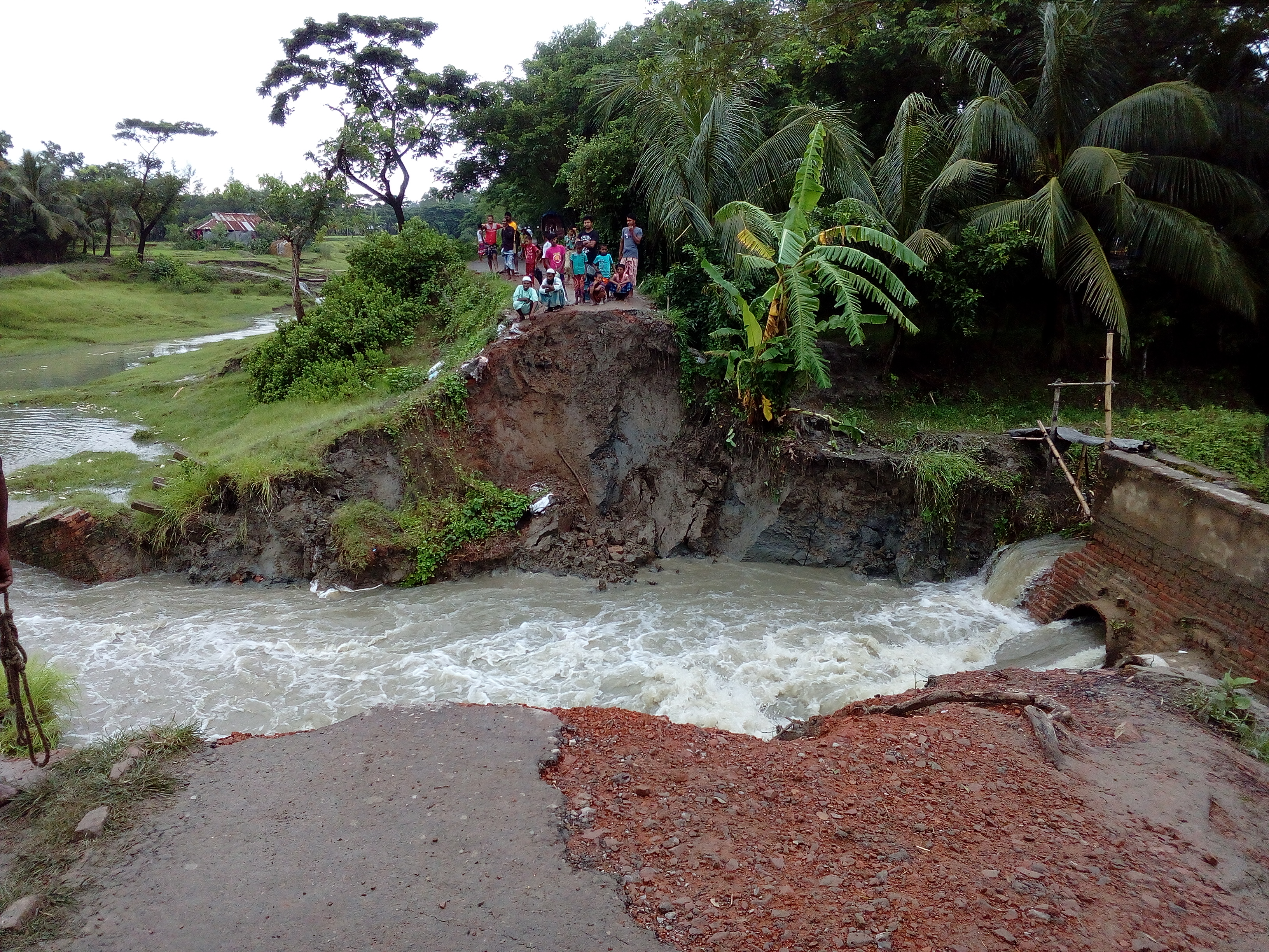 সোনাগাজীতে ধসে যাওয়া স্লুইজ গেইটে কাঠেরপুল নির্মান করবে এলজিইডি