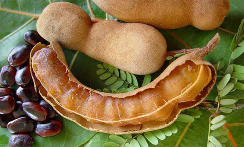 শরীরের একাধিক গুরুত্বপূর্ণ অঙ্গের কর্মক্ষমতা বাড়ায় তেঁতুল